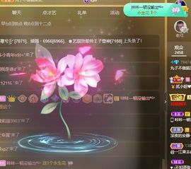 丸子不做搞笑女.主播照片