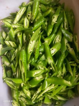 南边等你主播照片