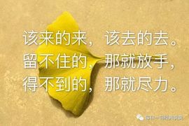 🌙嘦怹🌙主播照片