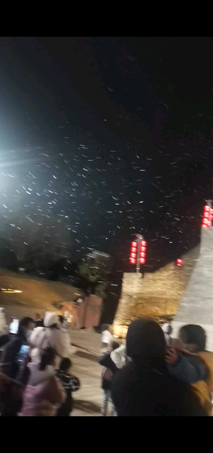 元旦出来玩玩