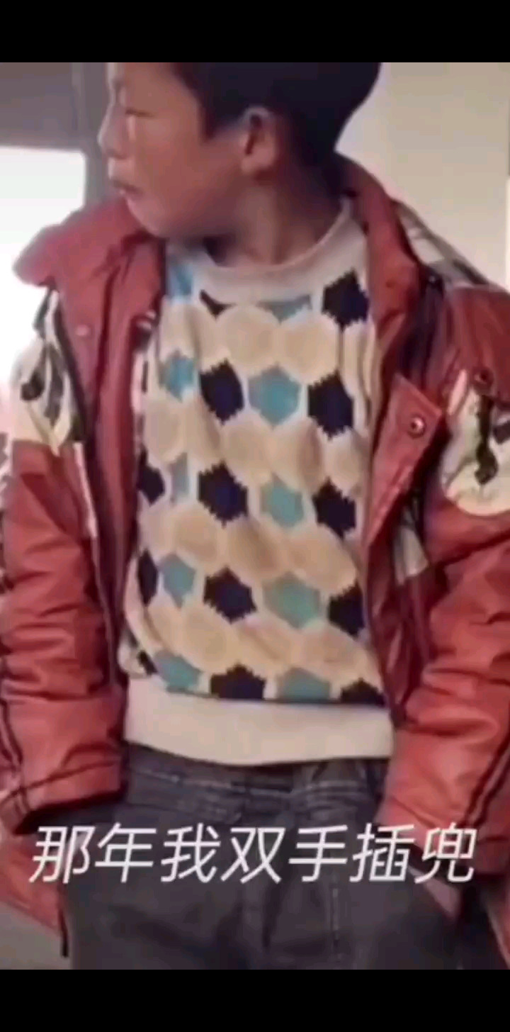 那年我双手插兜，不知