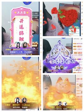 一树梨花压海唐同学☞主播照片