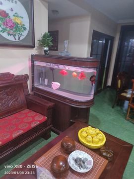 戰神大元帥黎歌主播照片