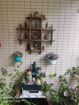 戰神大元帥黎歌主播照片