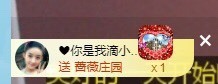 张张美人使劲播主播照片