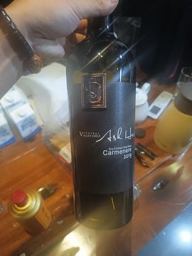 芒果是榨汁机的图片