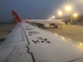 Love彼此的唯一的图片