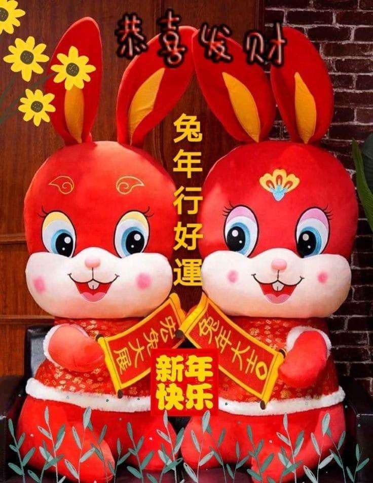 姣姣🐷好运连绵的图片