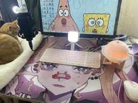 一只小绮梦🍟旺旺旺主播照片