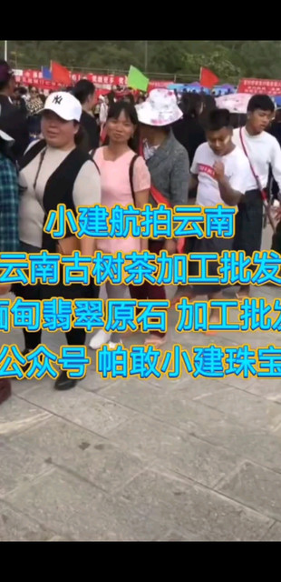小建航拍云南云南古树