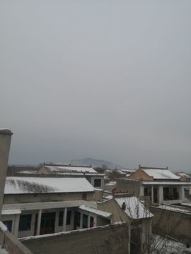陌上╰.╯花开ღ主播照片