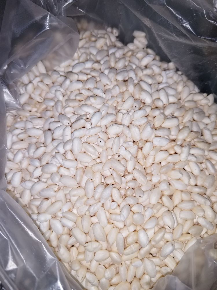 可儿呀💕主播图片