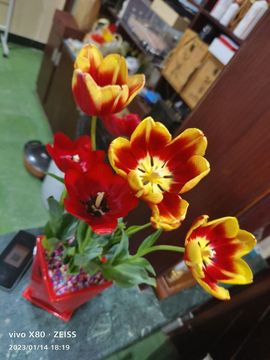 我元帥哥哥主播照片