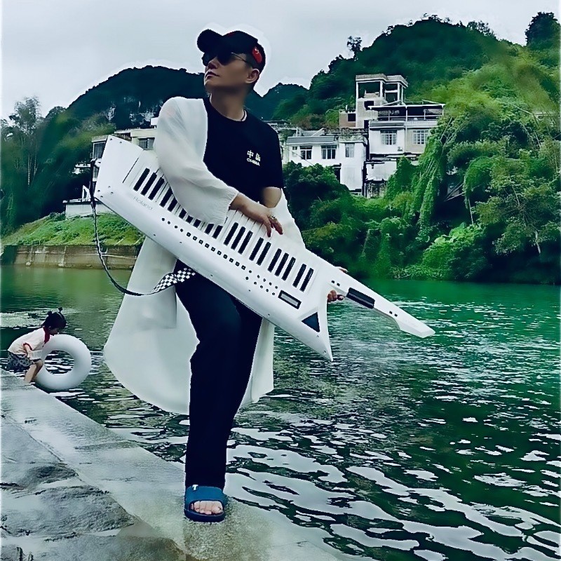 钢琴之侠的主播海报
