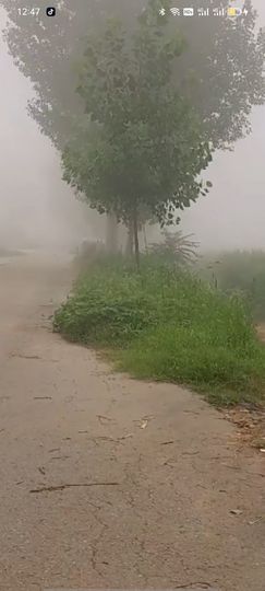 梦中的那首歌的图片