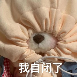 北家黄er~主播照片