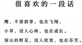 丑小鸭💞愿有一束光主播照片