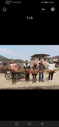 ～山水间🌴竹海～主播照片