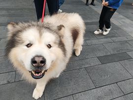 小妍吖😜主播照片