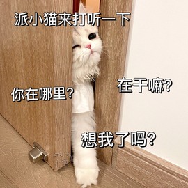 小小♥休主播照片