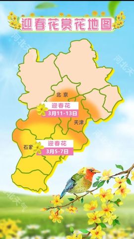 超持久“桑拿天”来了主播照片