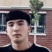 演奏乐器的白腰文鸟