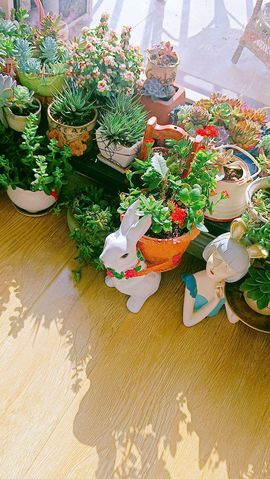 ღ娜娜ぃ安静唱歌🍀主播照片