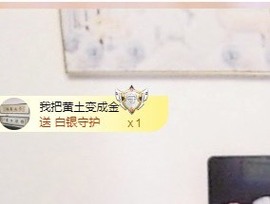 金牌代理❤玲儿❤主播照片