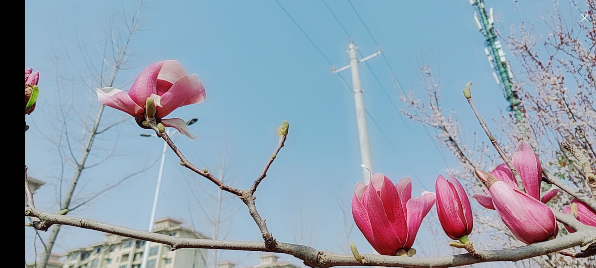 婷婷💕感恩有你陪伴的图片