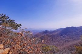 阳阳🌾明天见主播照片