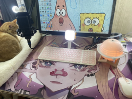 243726672主播照片