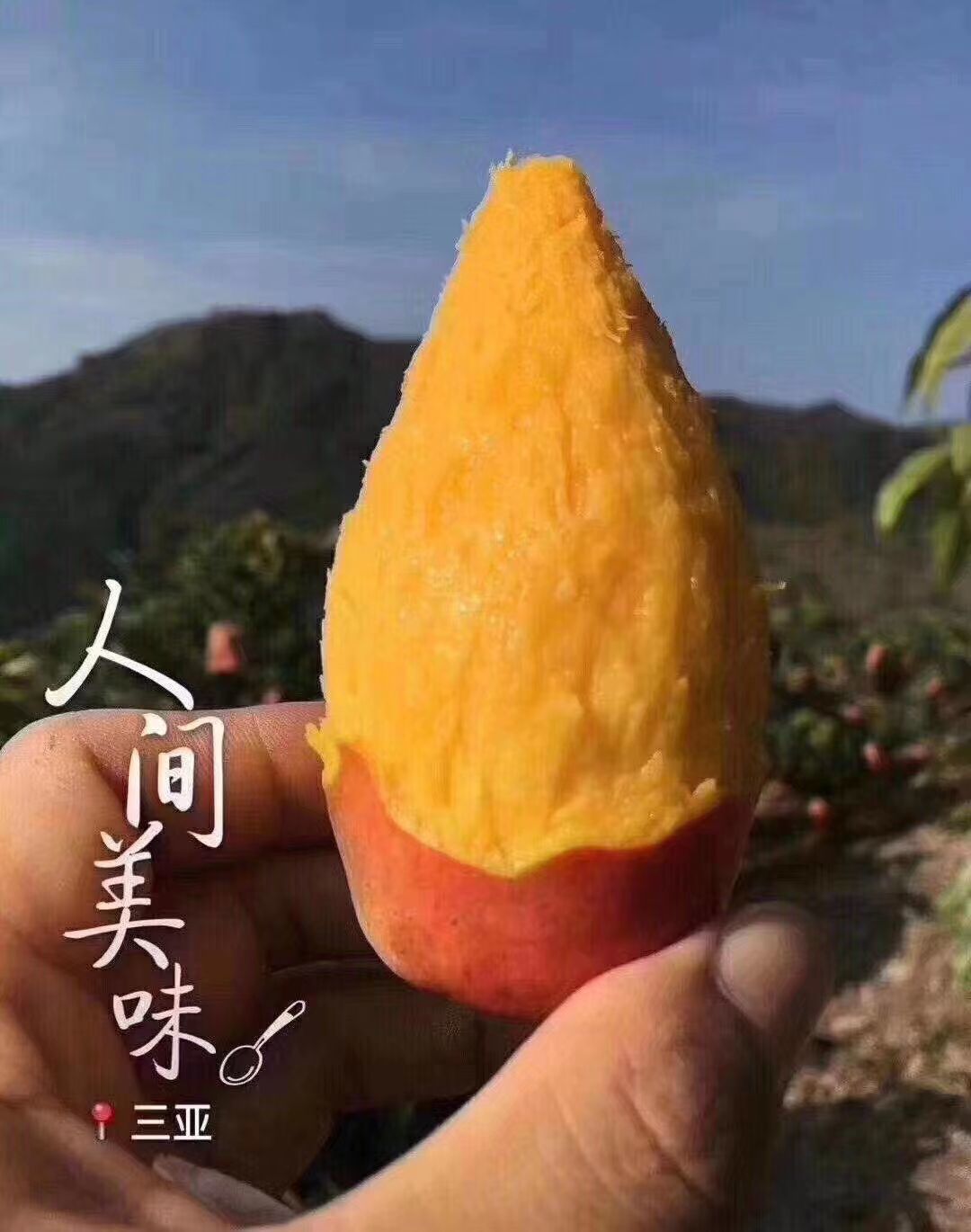 深圳小方水果批发行的主播照片
