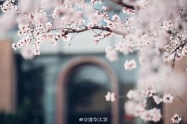 超持久“桑拿天”来了主播照片