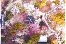 超持久“桑拿天”来了主播照片