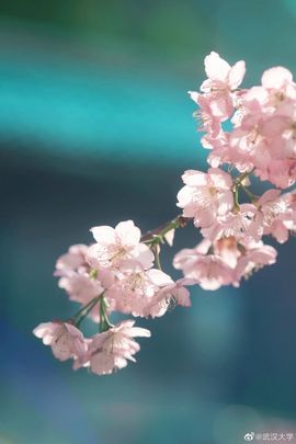 超持久“桑拿天”来了主播照片
