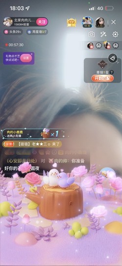 财神爷的小宝贝的图片