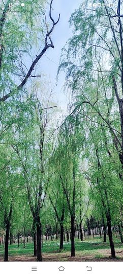 小芳，🌸减肥打卡主播照片
