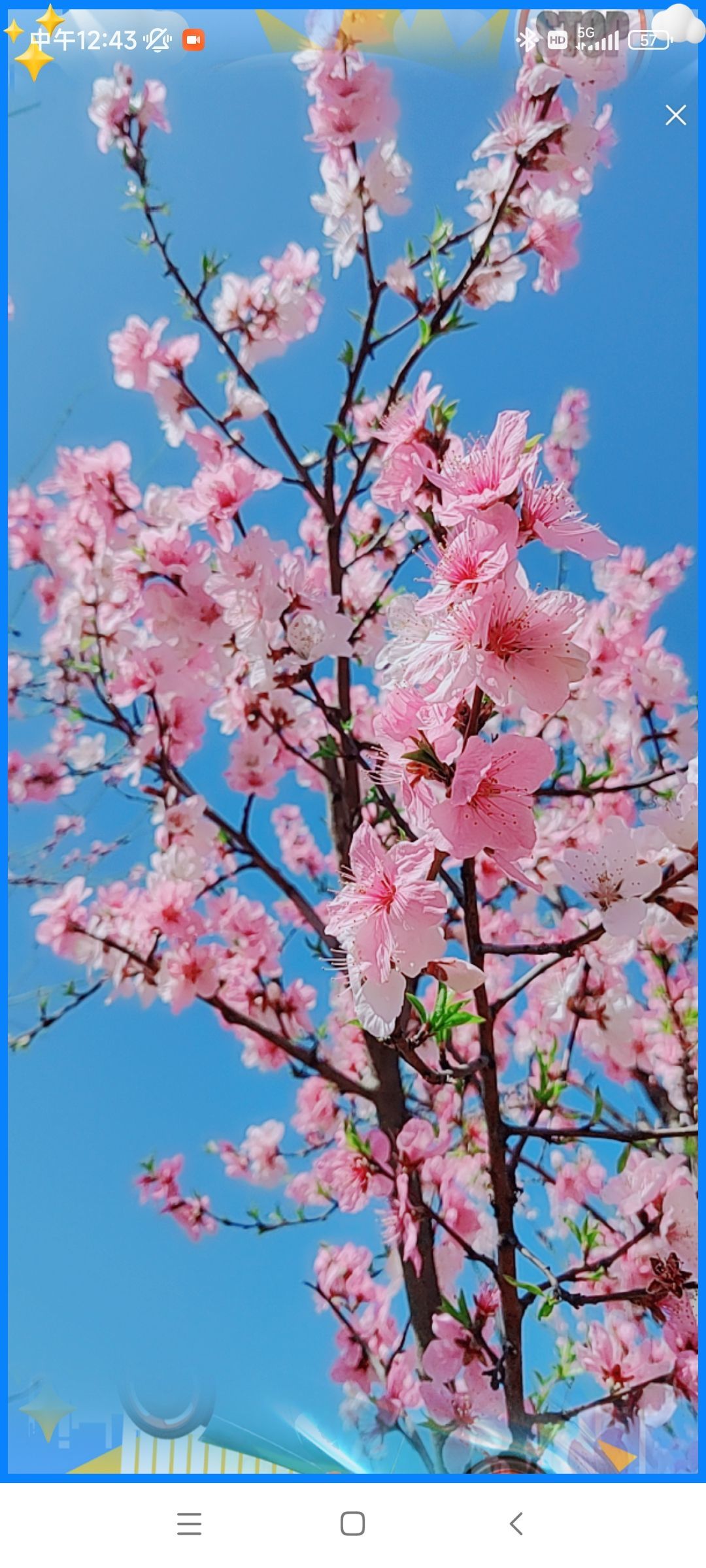 婷婷💕感恩有你陪伴的图片