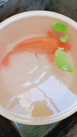玟玟🌸加油的图片