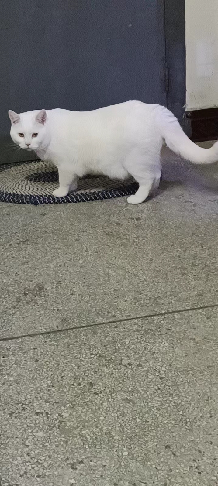 雨閣汽貿(mào)?李先生.的主播照片