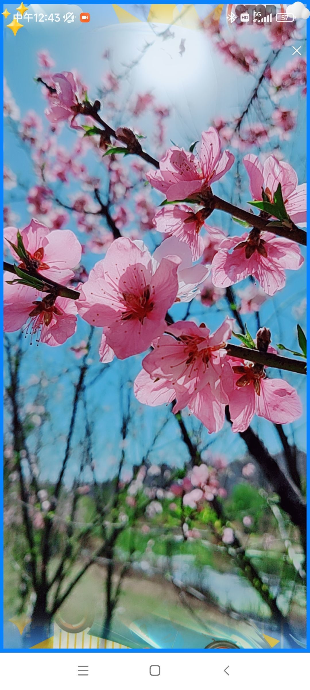 婷婷💕感恩有你陪伴的图片