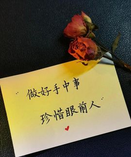 鹤桐💕你的上上签主播照片