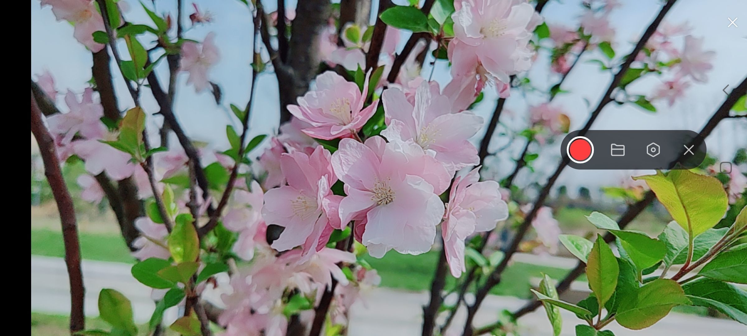 婷婷💕感恩有你陪伴的图片