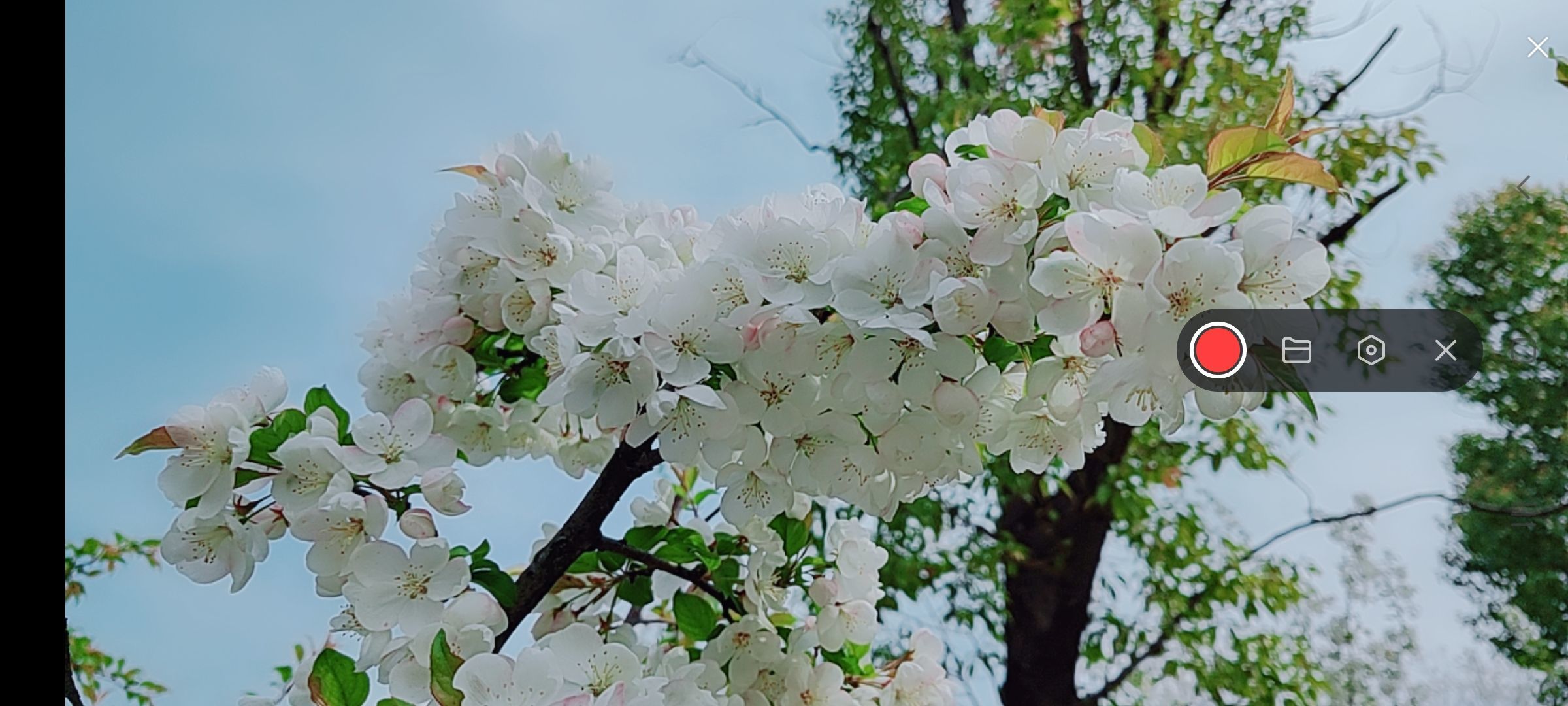 婷婷💕感恩有你陪伴的图片