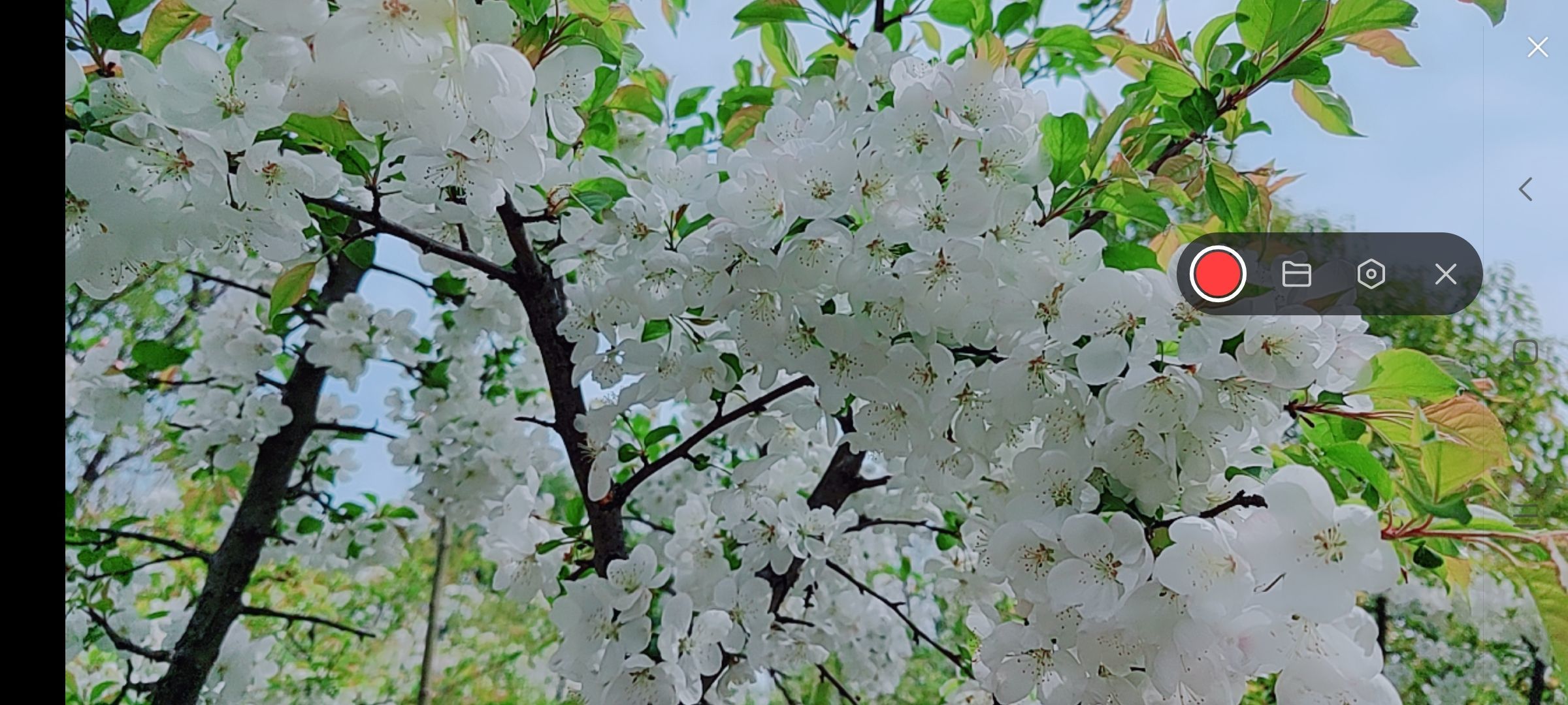 婷婷💕感恩有你陪伴的图片