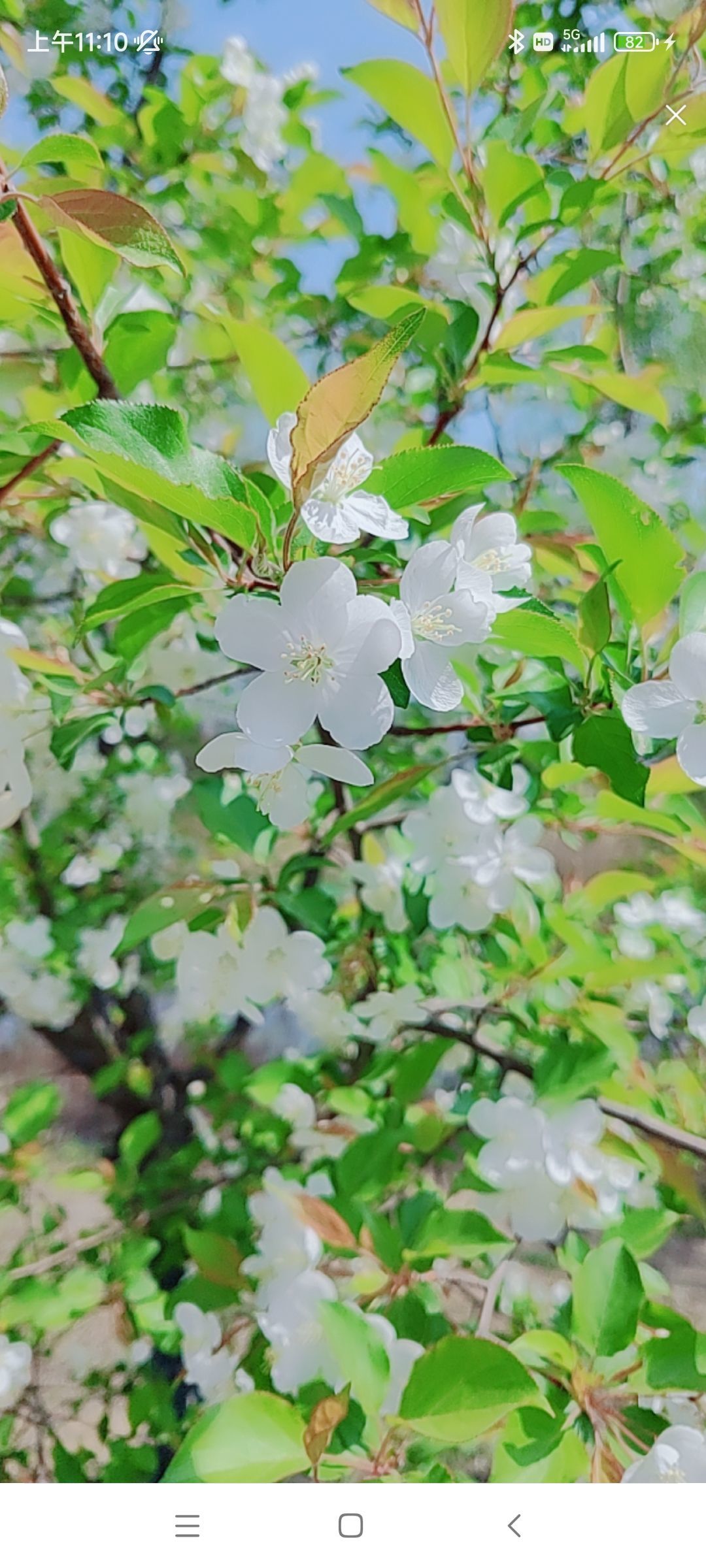 婷婷💕感恩有你陪伴的图片