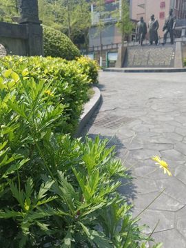 猴哥哥哥哥的图片