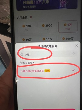 小雅代理ღ招财吖的图片