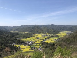 张张美人好好播主播照片