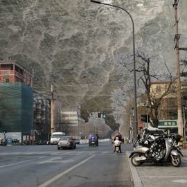 疯和尚——释真明主播照片